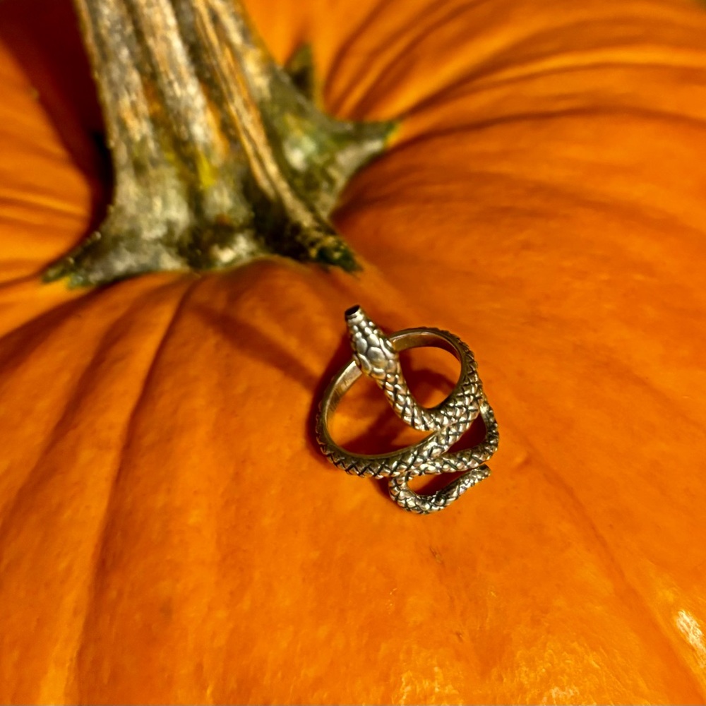 Silver Snake Ring